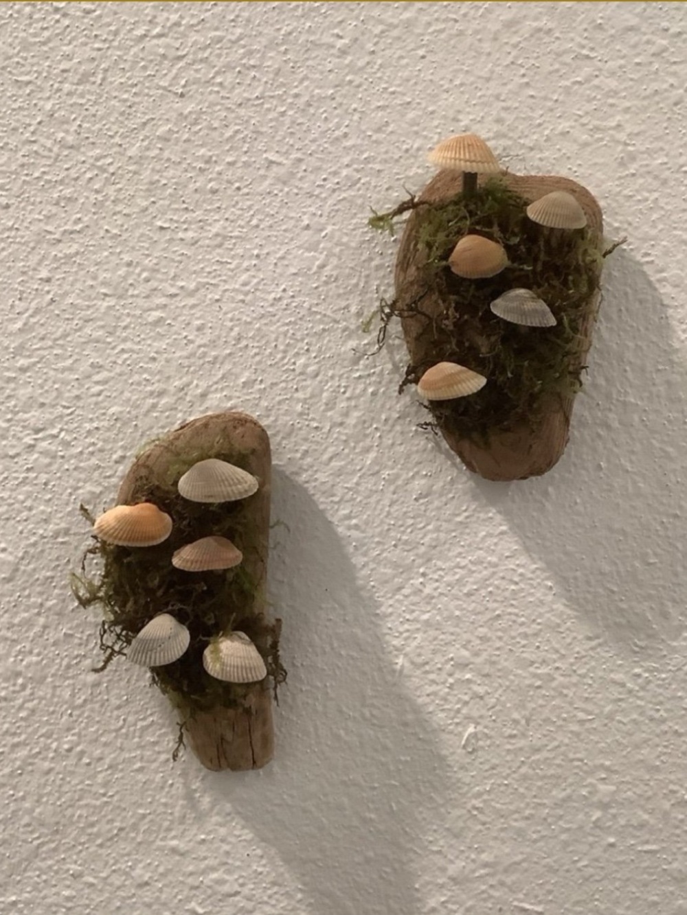 Driftwood Art, Pair of Hanging Driftwood & Seashell Mushrooms , Mushroom Art